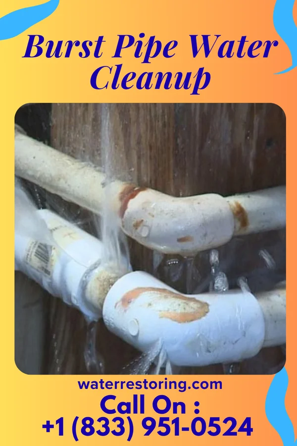 Burst Pipe Water Cleanup in Hamorton, PA