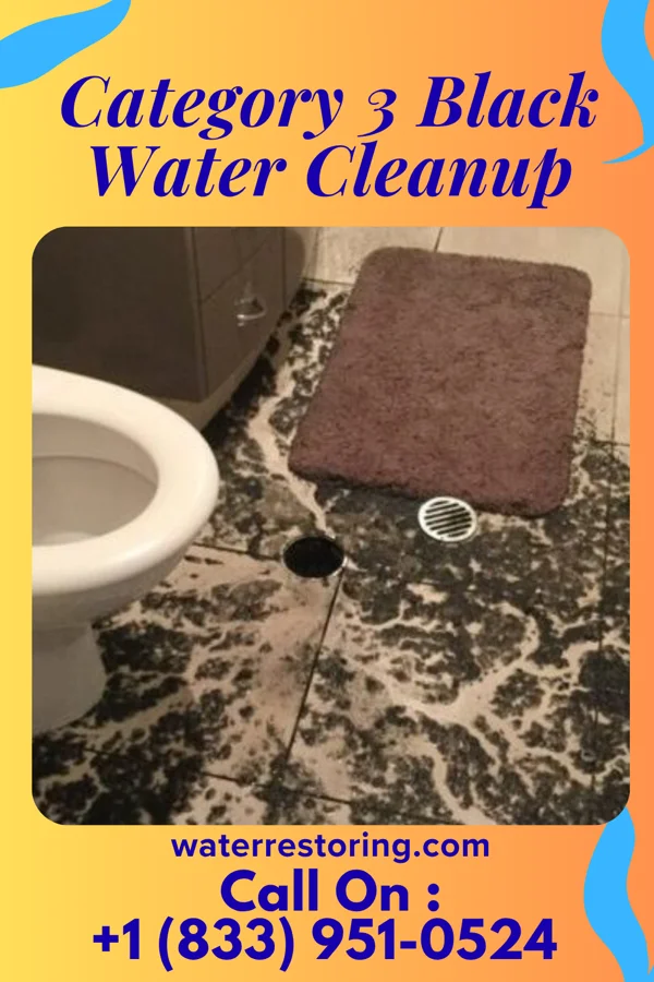 Category 3 Black Water Cleanup in Hamorton, PA