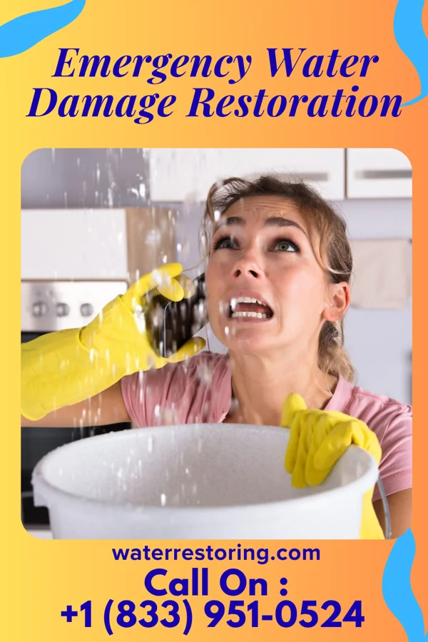 Emergency Water Damage Restoration in Hamorton, PA