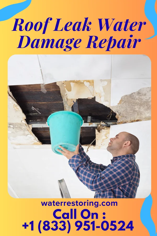 Roof Leak Water Damage Repair in Hamorton, PA