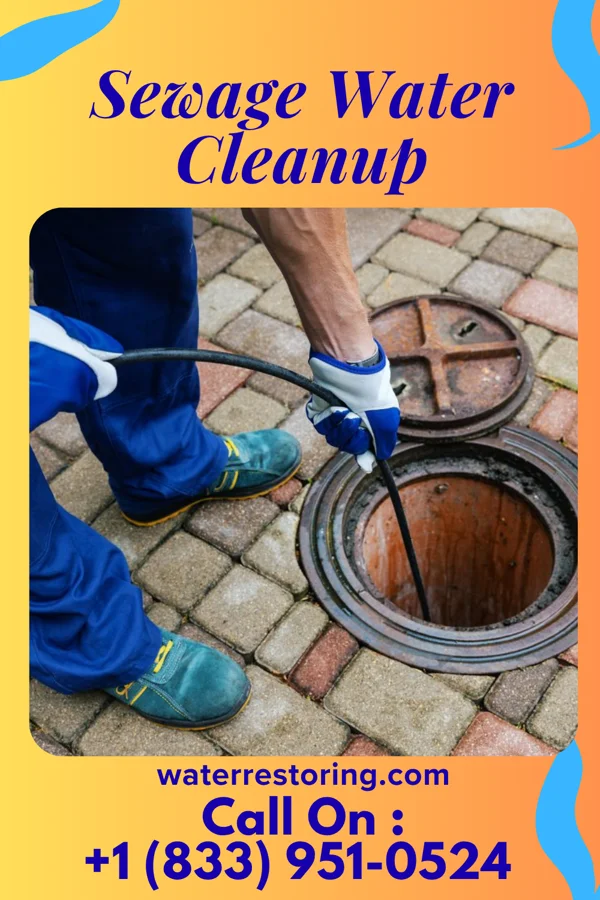 Sewage Water Cleanup in Hamorton, PA