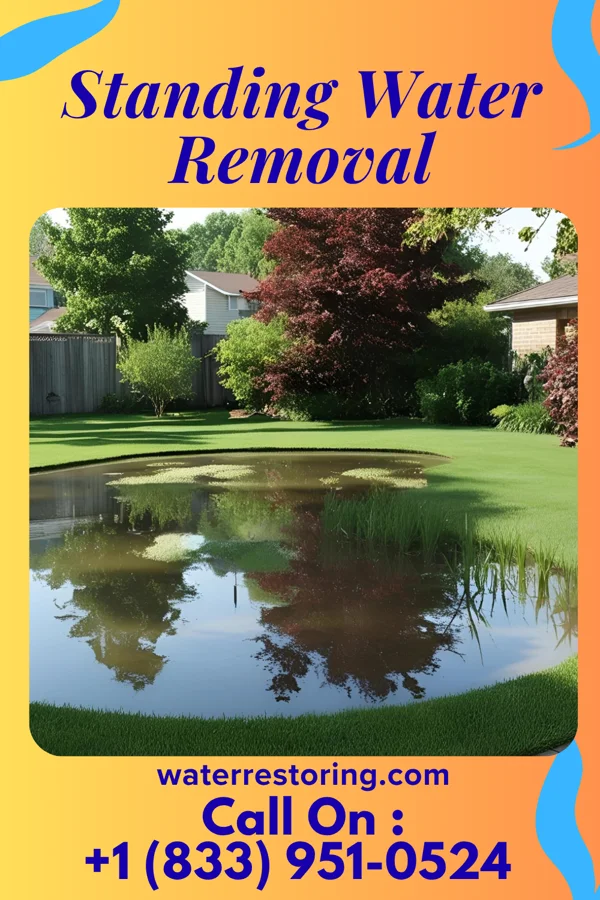 Standing Water Removal in Hamorton, PA